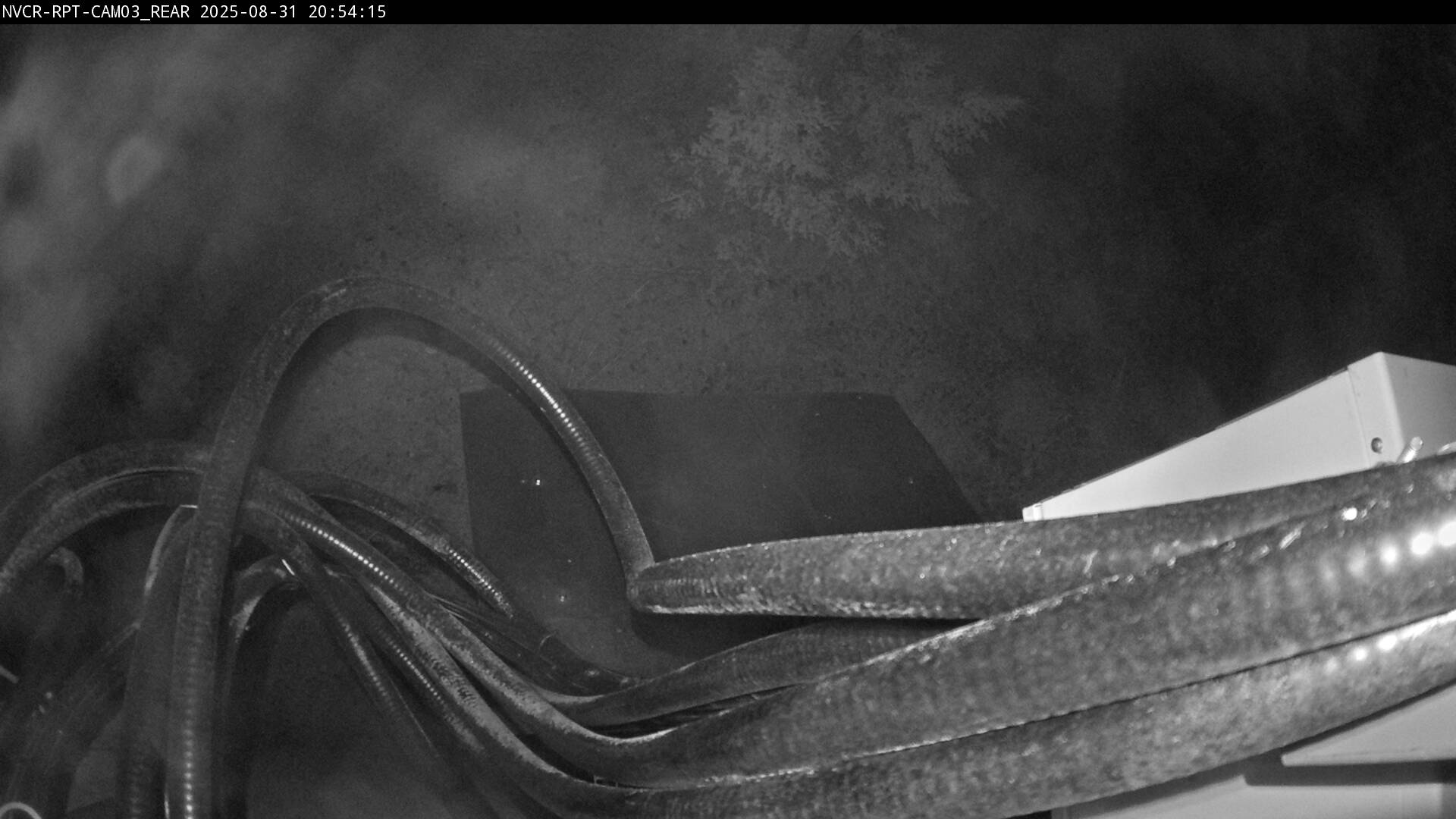 Web Cam History Image - 789