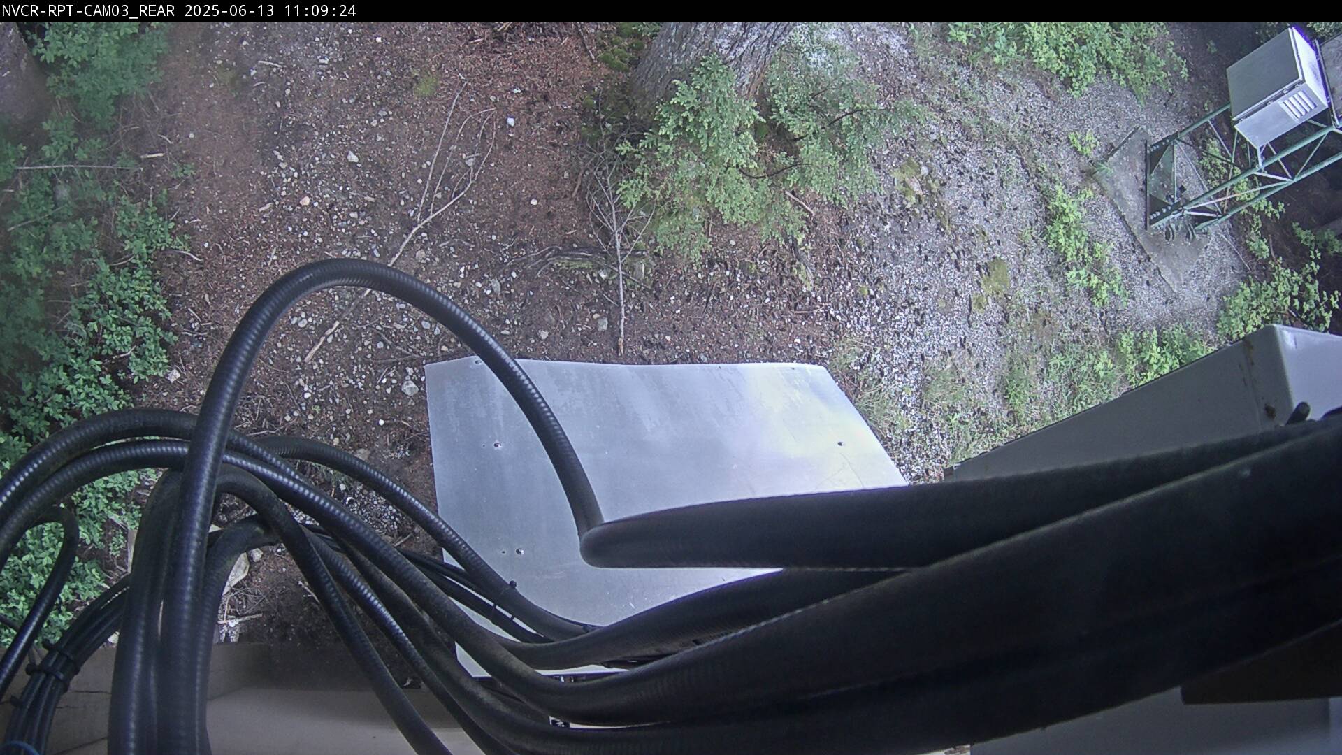 Web Cam History Image - 790