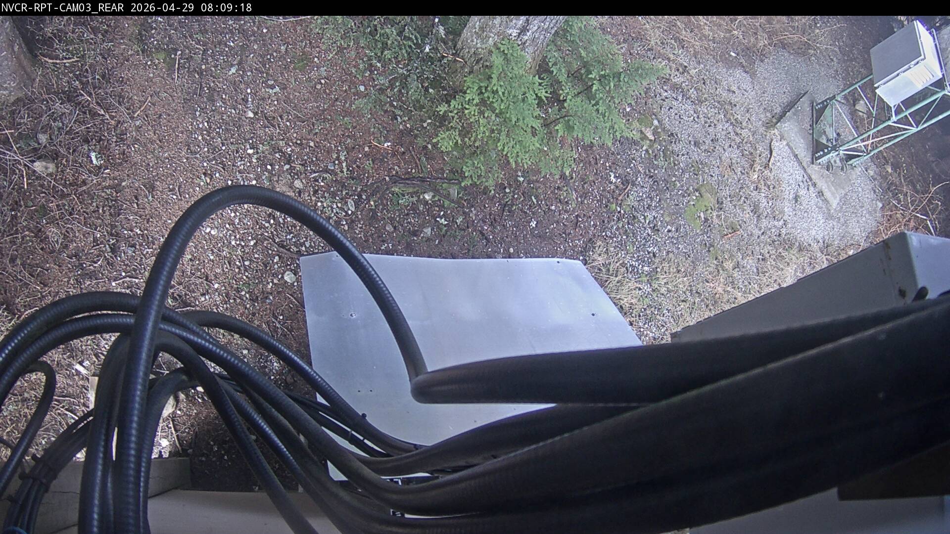 Web Cam History Image - 790