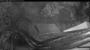 Web Cam Image - Thu, 07/02/2026 8:24pm PDT