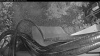 Web Cam Image - Mon, 08/24/2026 5:29am PDT