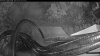 Web Cam Image - Tue, 09/29/2026 7:09am PDT