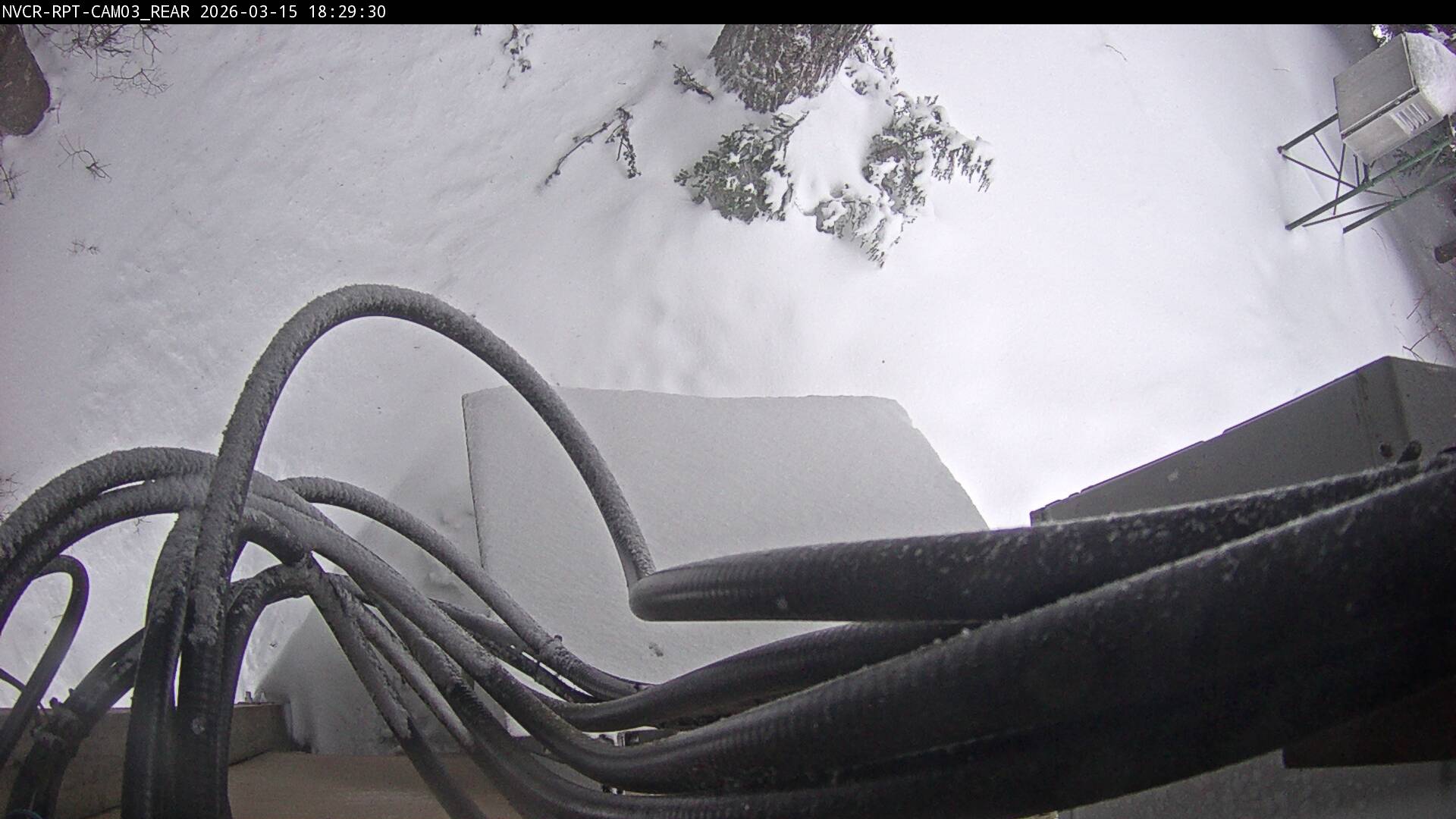 Web Cam History Image - 80