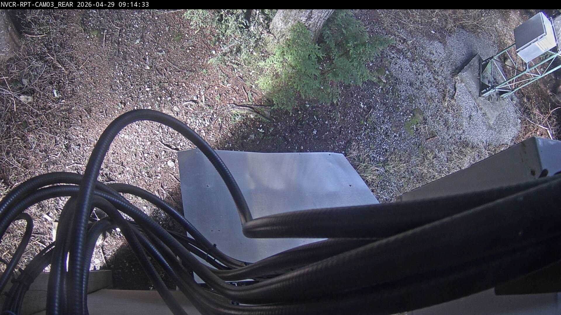 Web Cam History Image - 791
