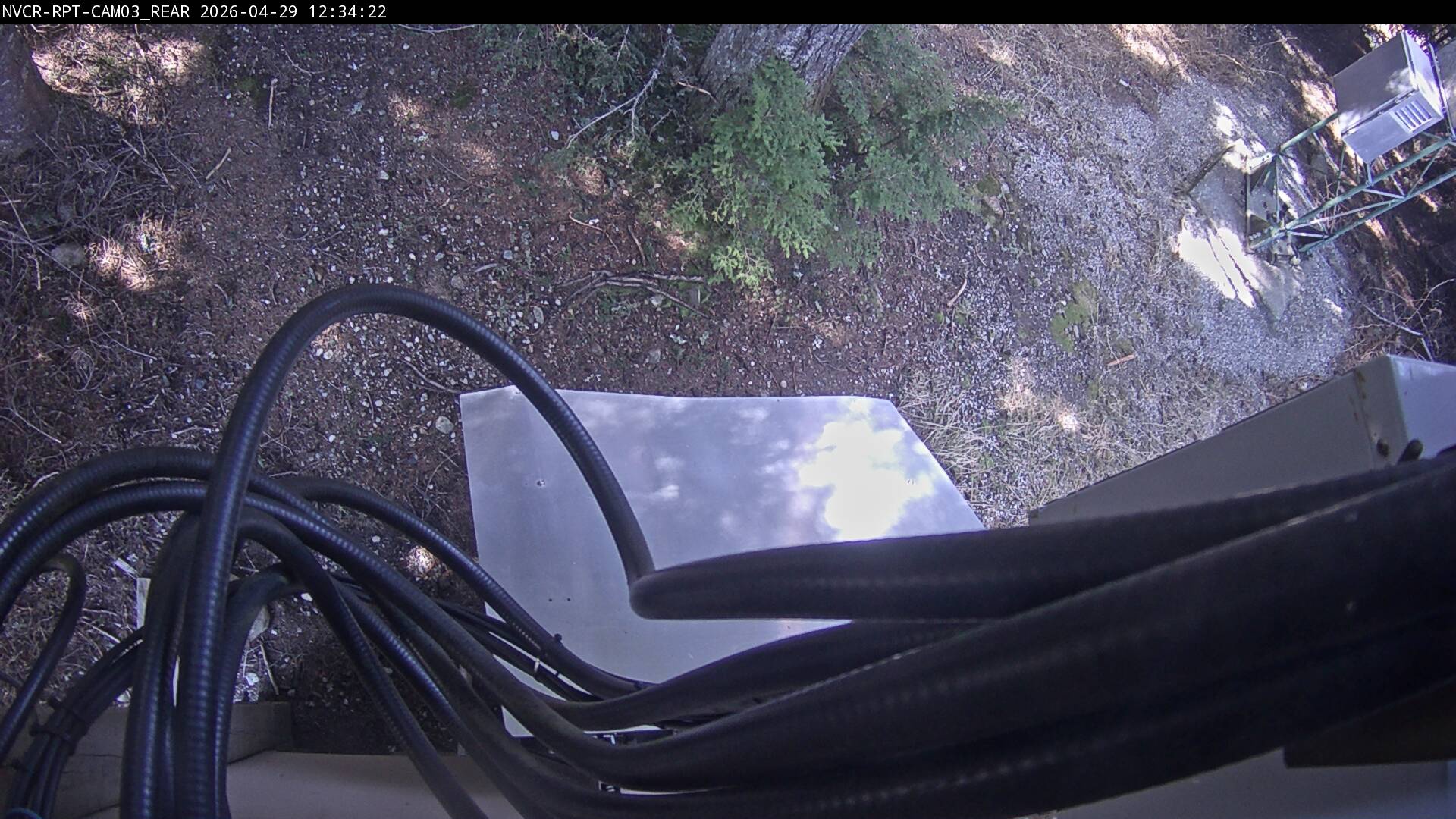 Web Cam History Image - 794