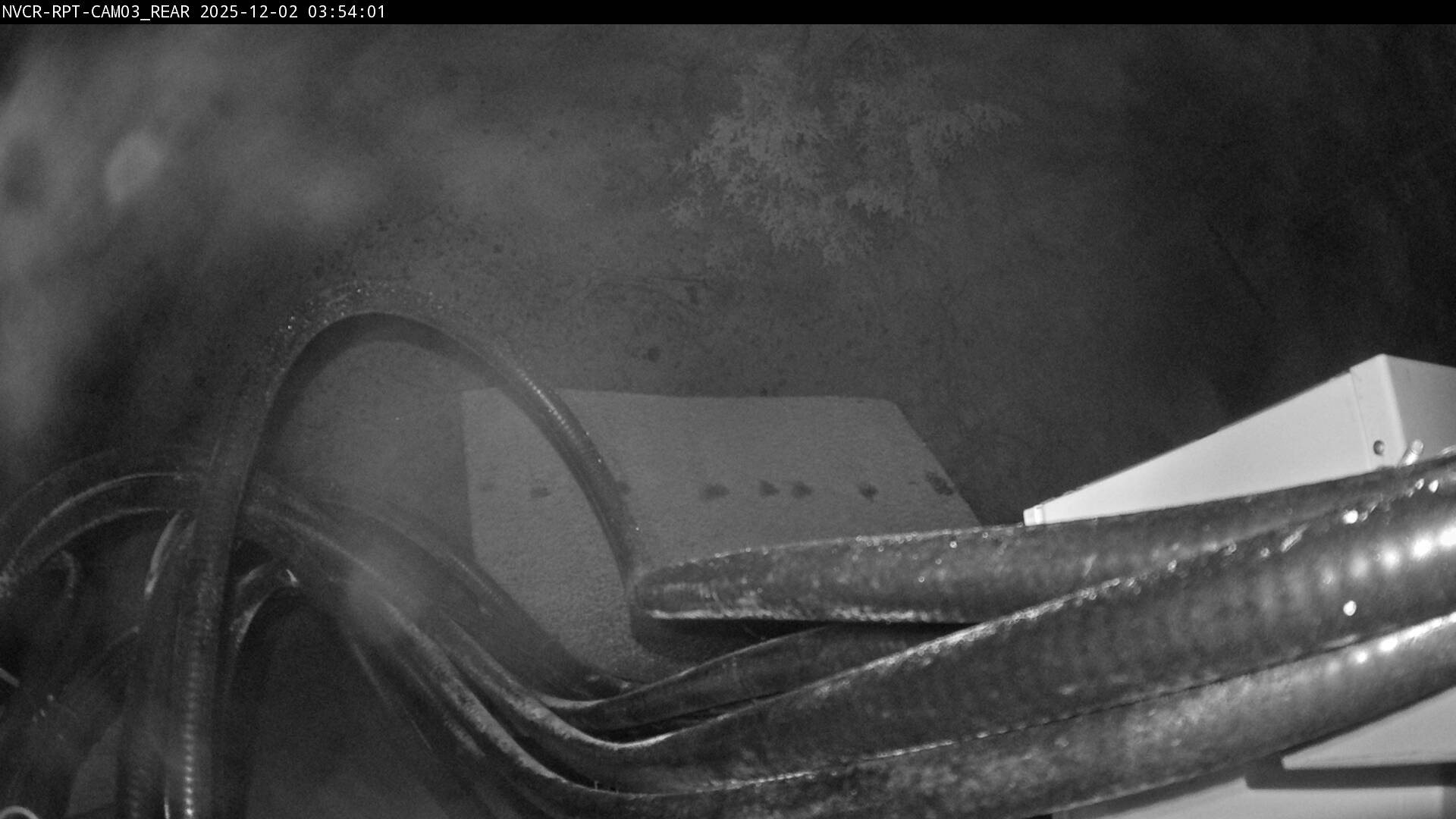 Web Cam History Image - 795