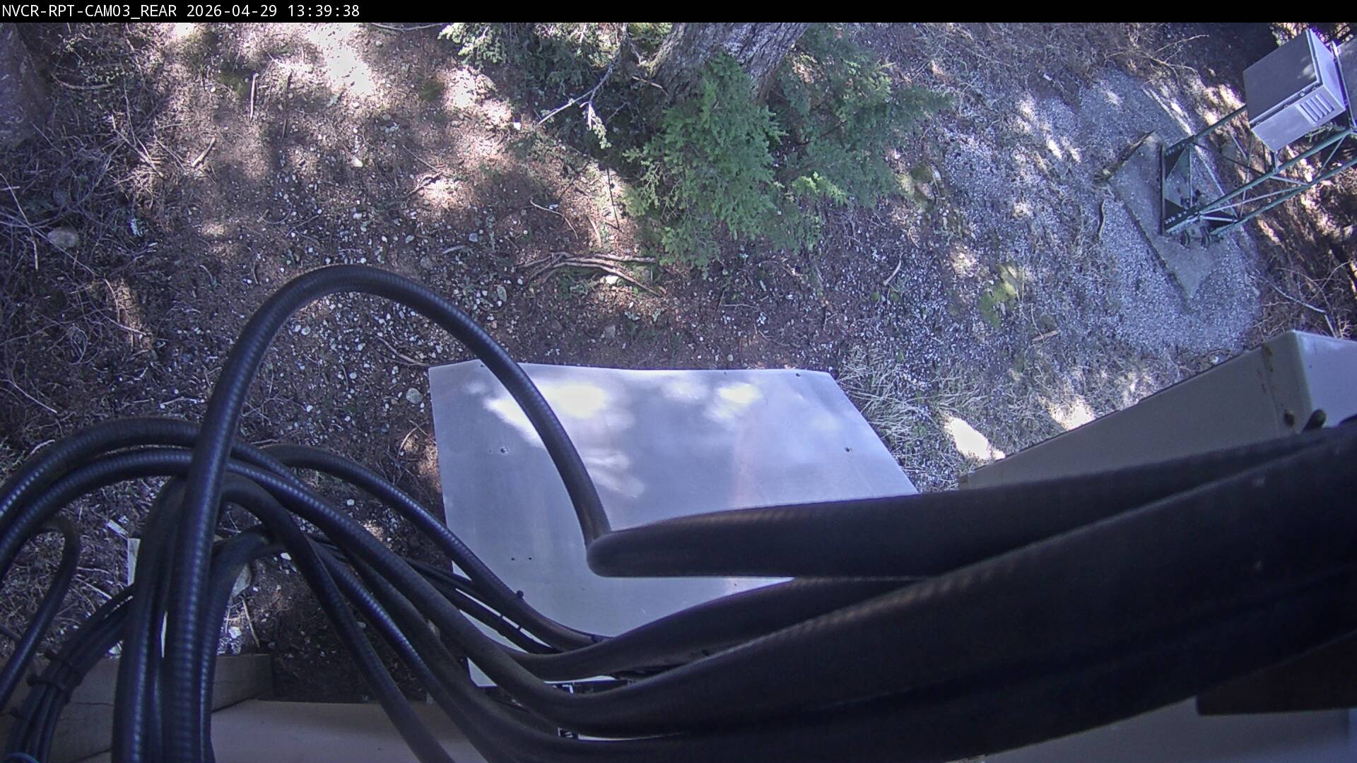 Web Cam History Image - 795