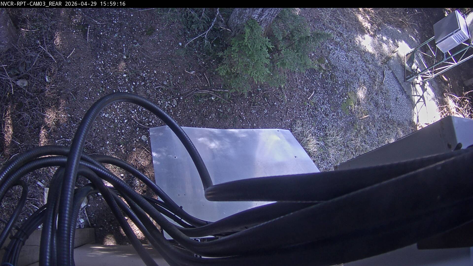 Web Cam History Image - 797