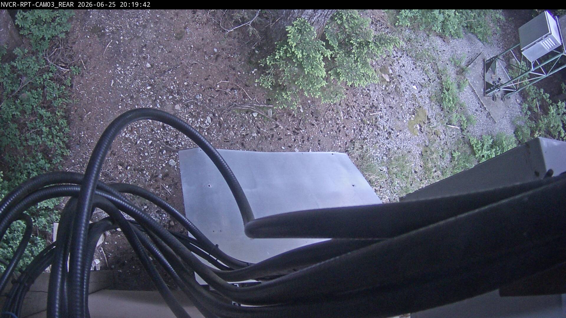 Web Cam History Image - 797