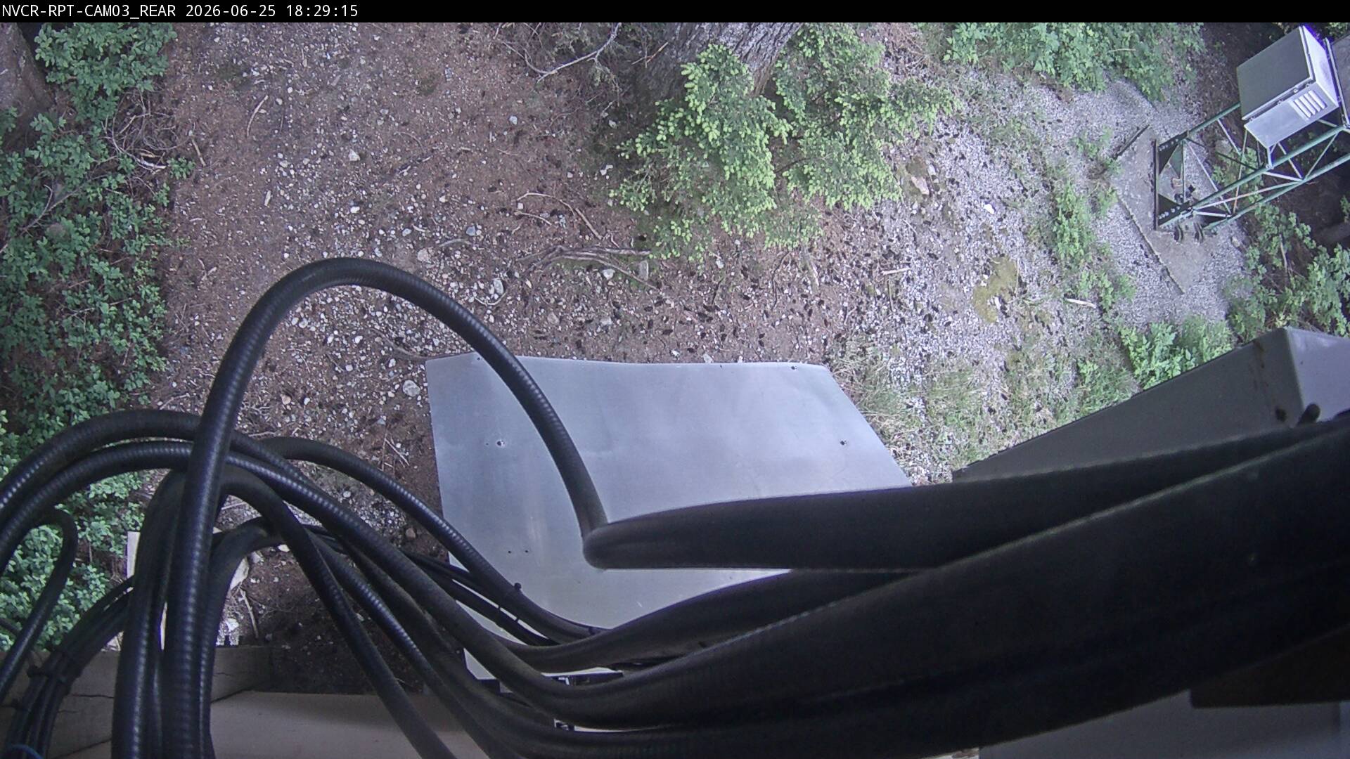 Web Cam History Image - 798