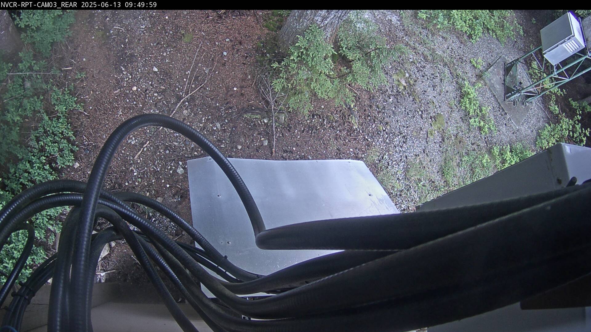 Web Cam History Image - 800