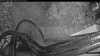 Web Cam Image - Thu, 06/04/2026 8:04pm PDT