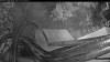 Web Cam Image - Sun, 07/26/2026 7:54pm PDT