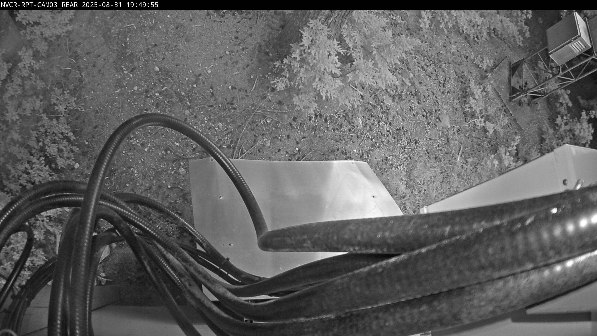 Web Cam History Image - 9