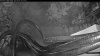 Web Cam Image - Wed, 08/05/2026 4:39am PDT