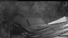 Web Cam Image - Tue, 09/29/2026 7:04am PDT