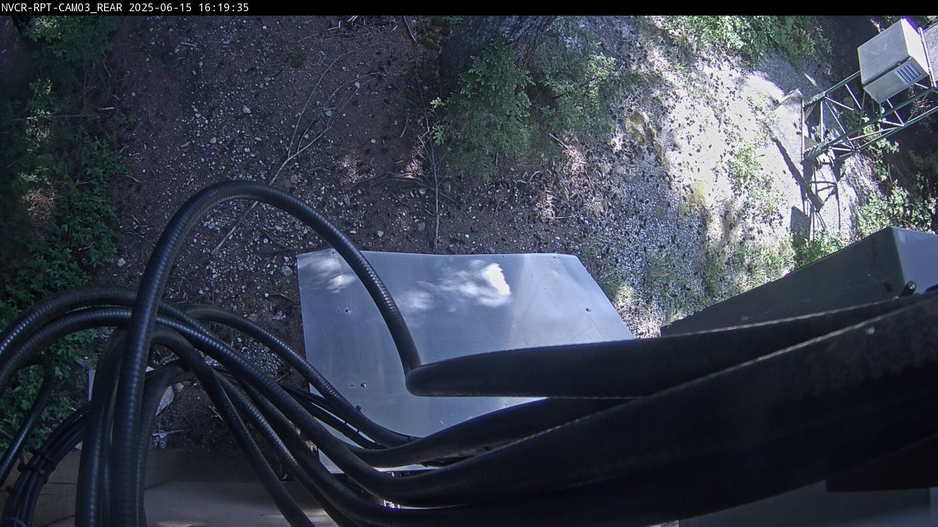 Web Cam History Image - 81