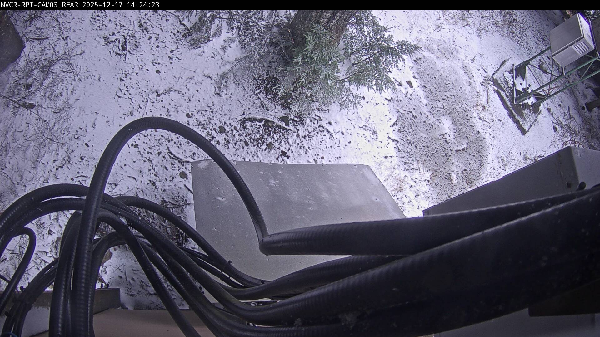 Web Cam History Image - 81