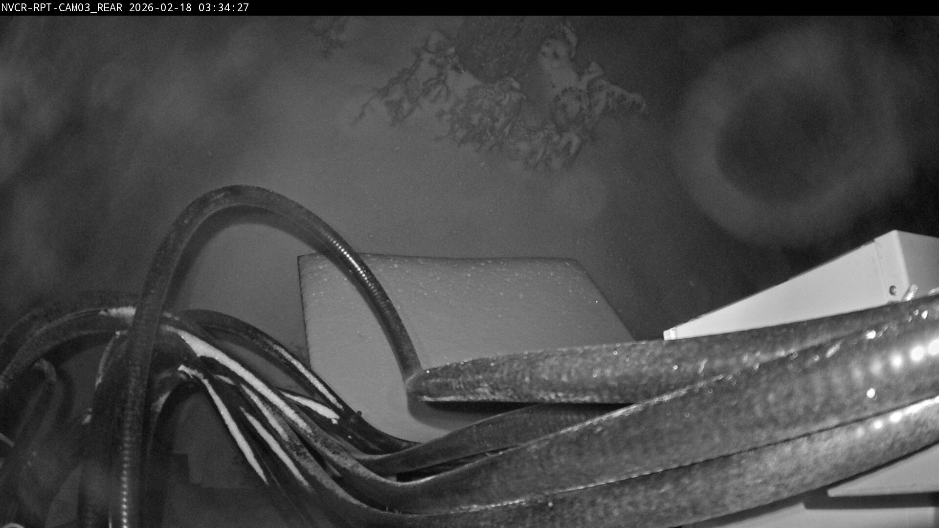 Web Cam History Image - 81