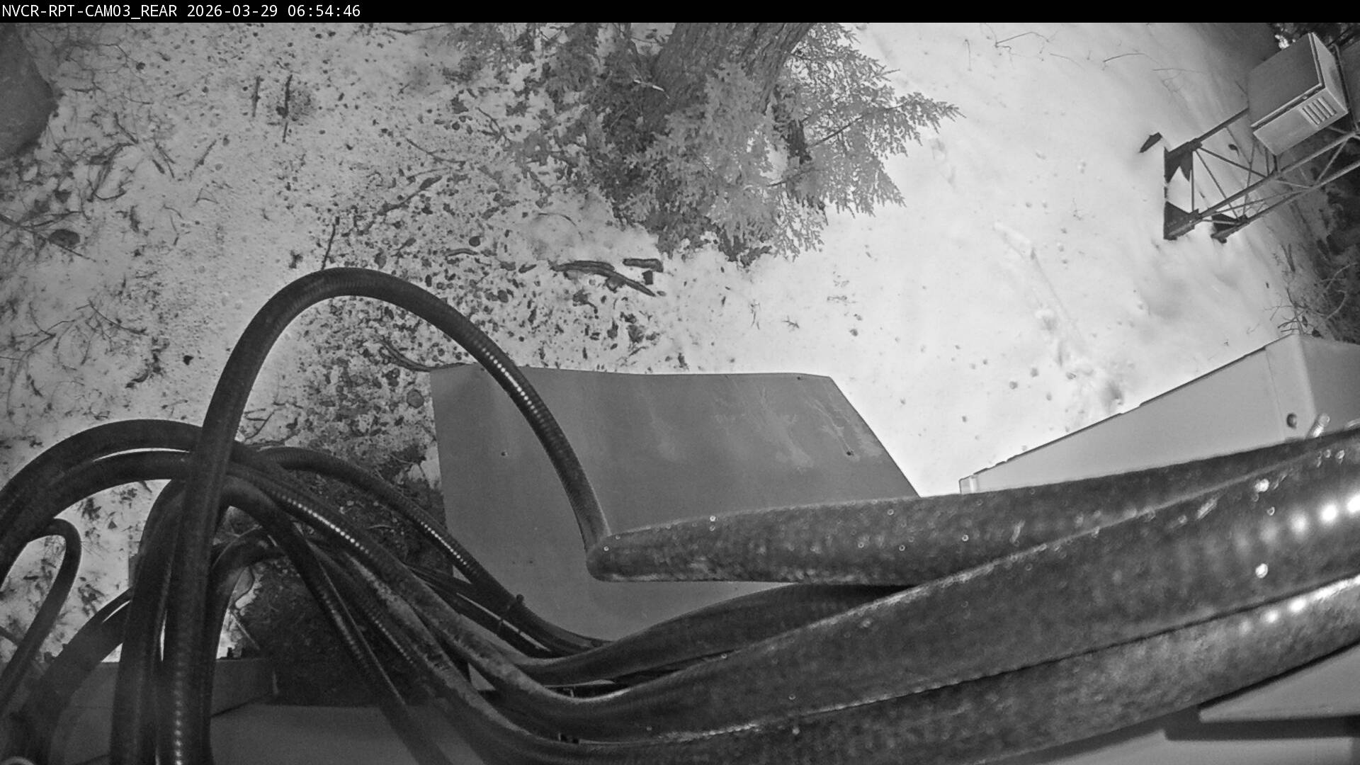 Web Cam History Image - 81