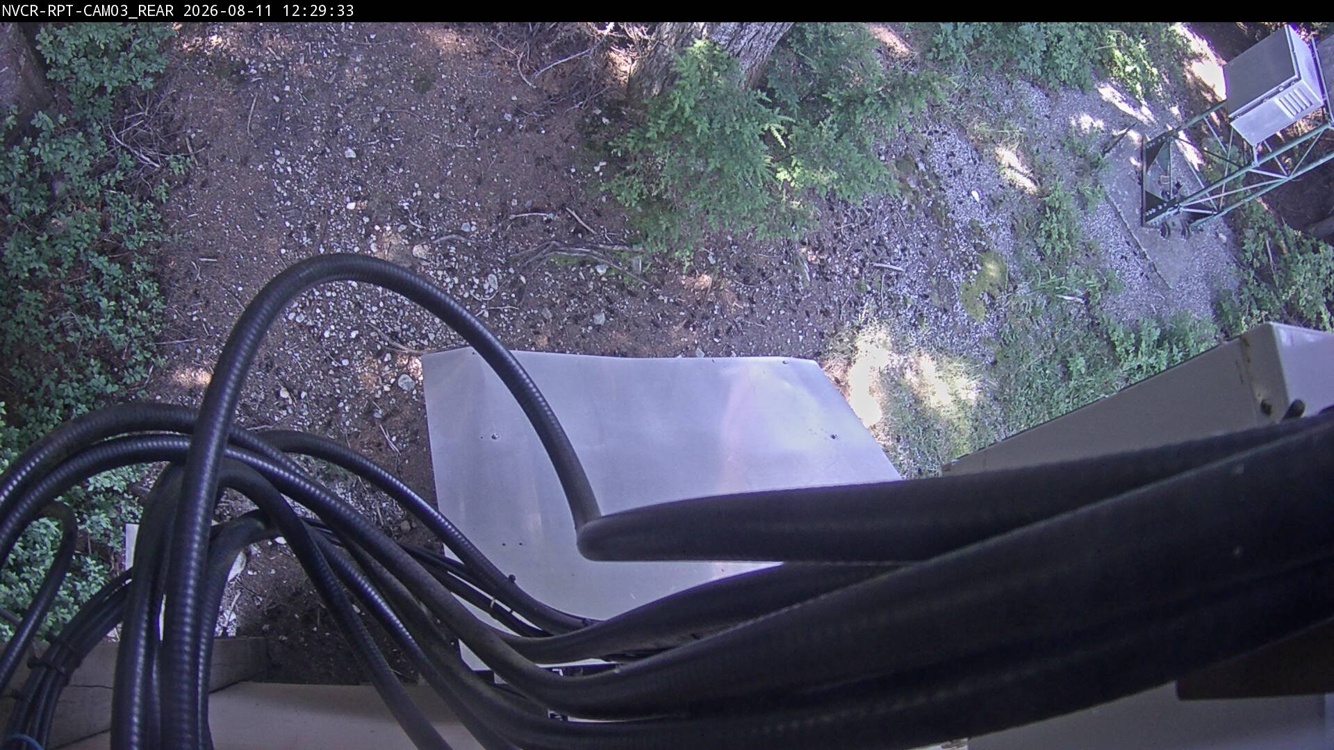 Web Cam History Image - 81