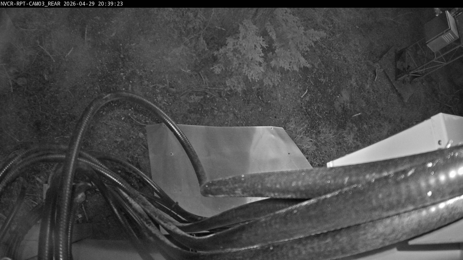 Web Cam History Image - 801