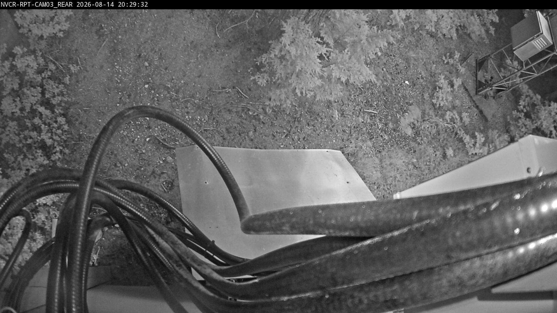 Web Cam History Image - 801