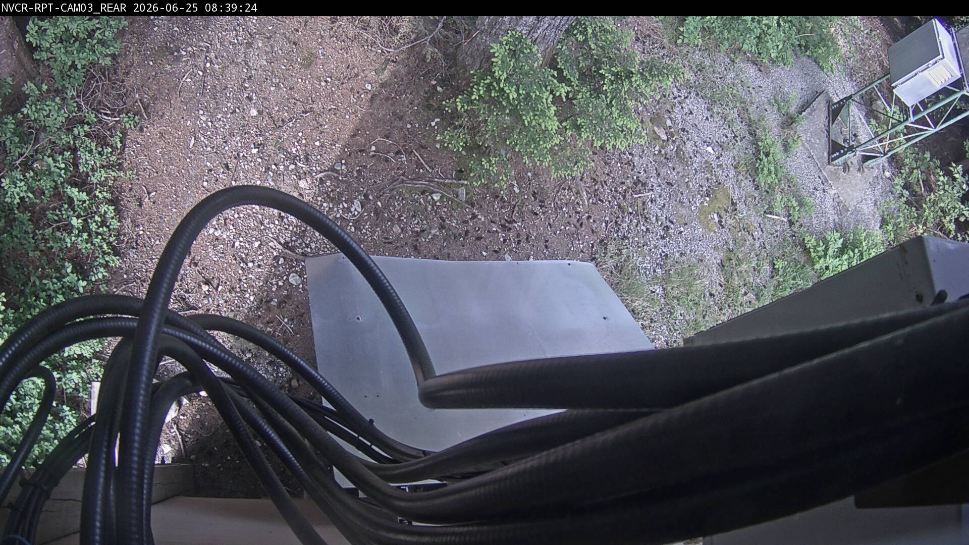 Web Cam History Image - 803