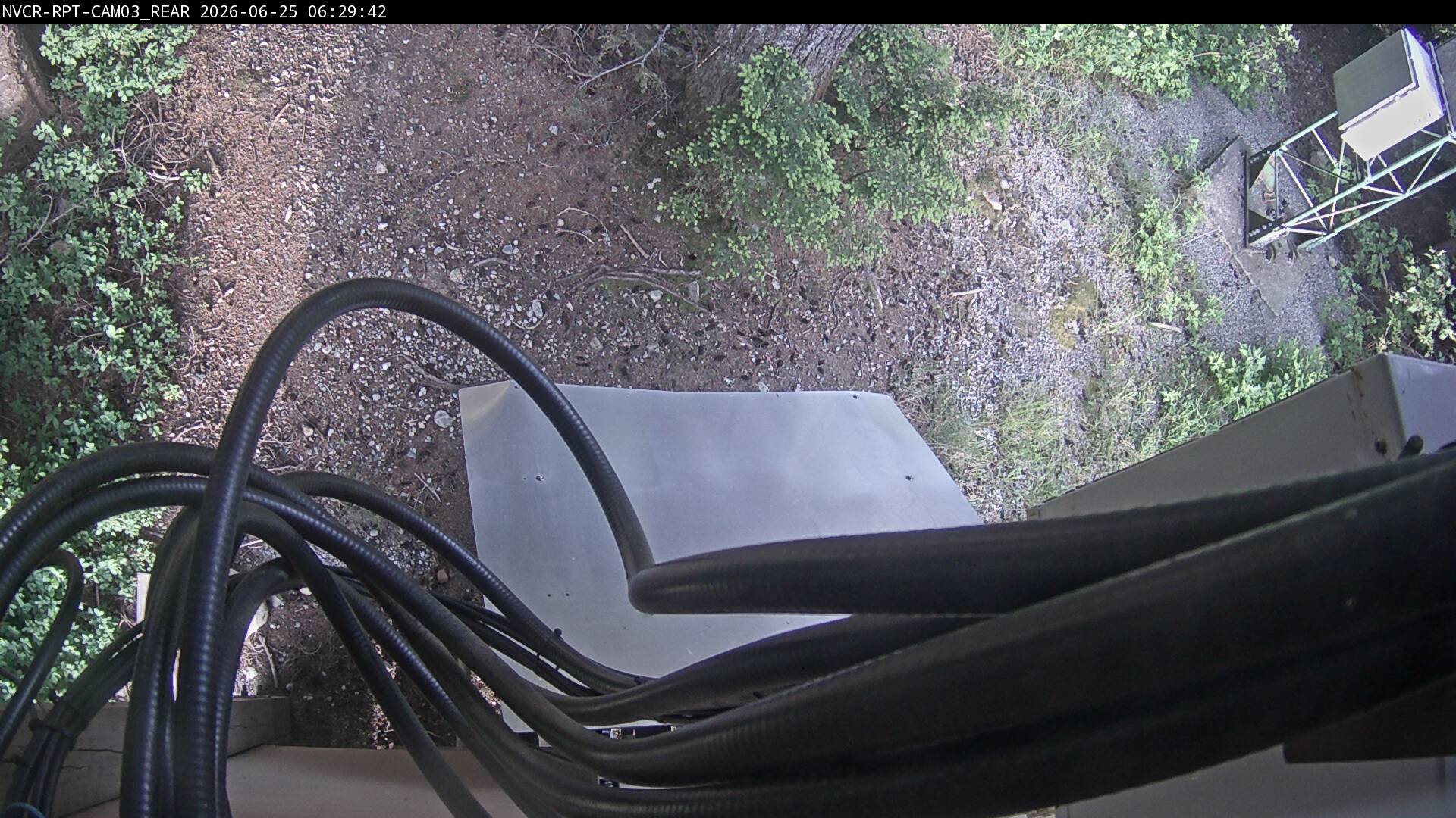 Web Cam History Image - 804