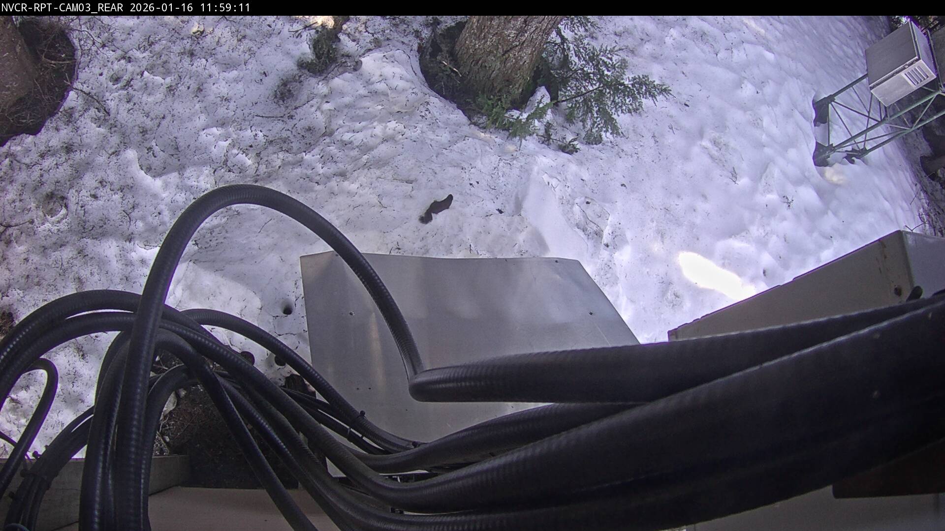 Web Cam History Image - 807