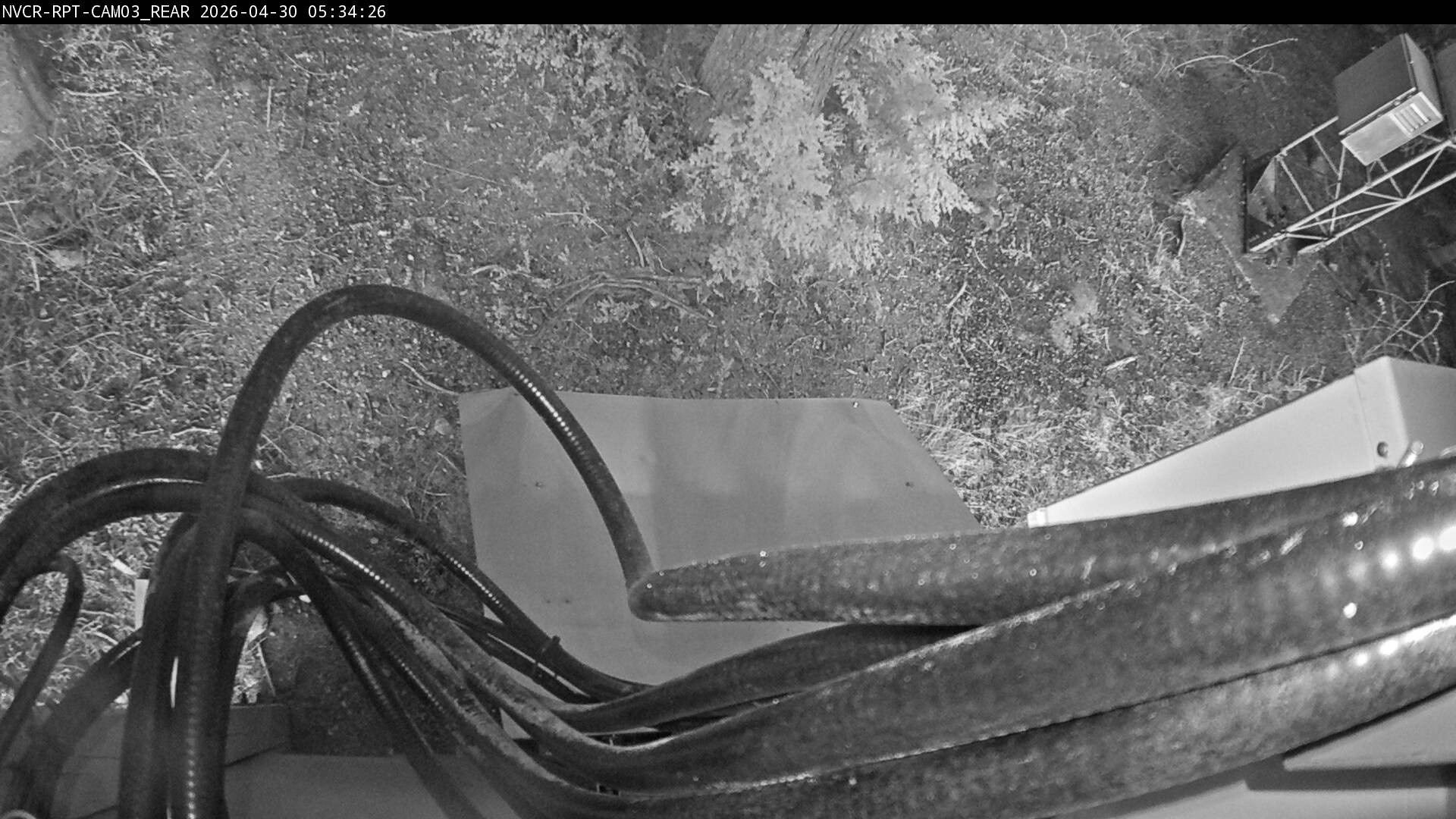 Web Cam History Image - 809
