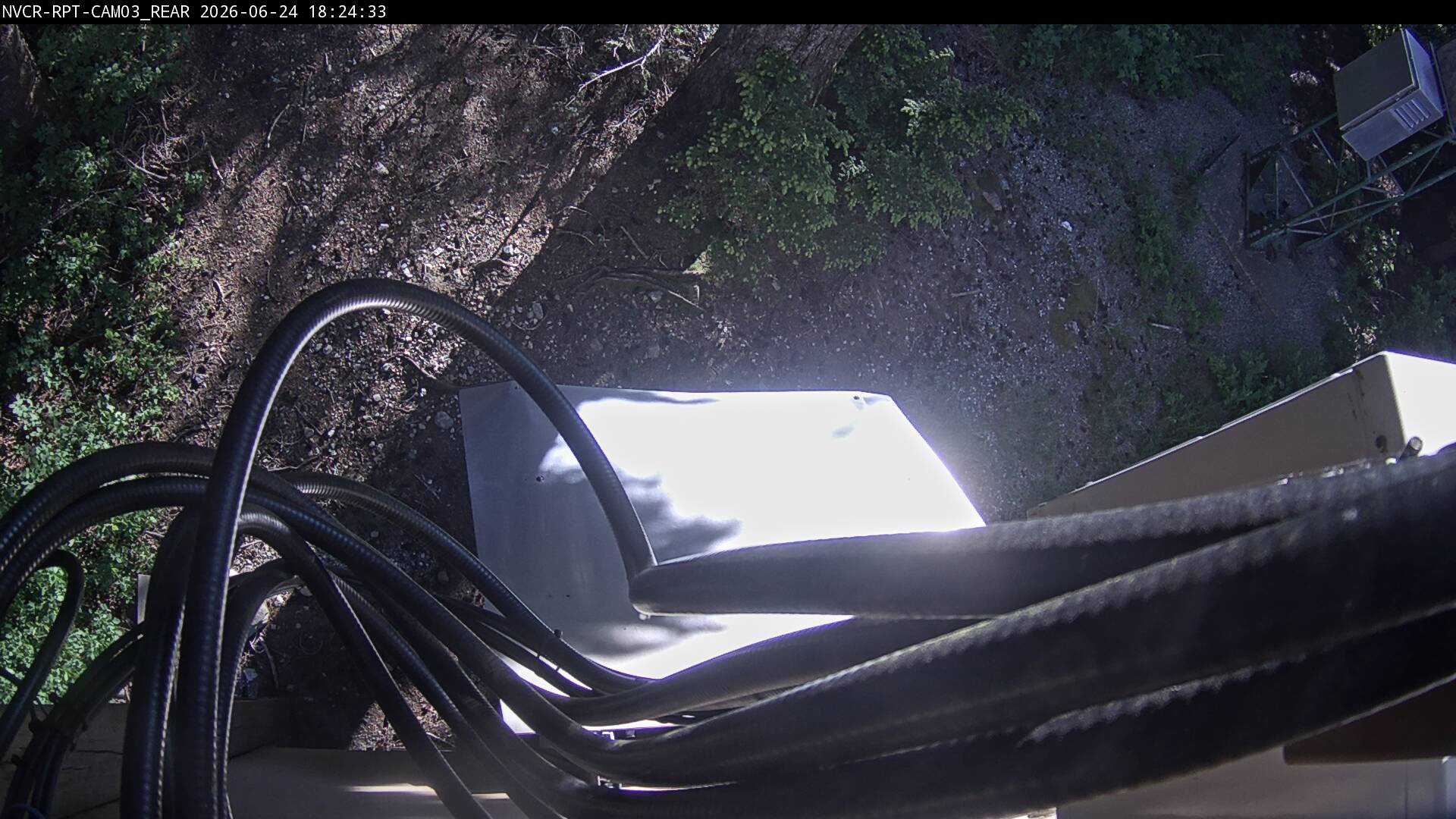 Web Cam History Image - 810