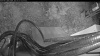 Web Cam Image - Fri, 05/01/2026 4:39am PDT
