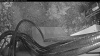 Web Cam Image - Mon, 05/11/2026 4:04am PDT