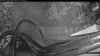 Web Cam Image - Mon, 06/15/2026 3:19am PDT