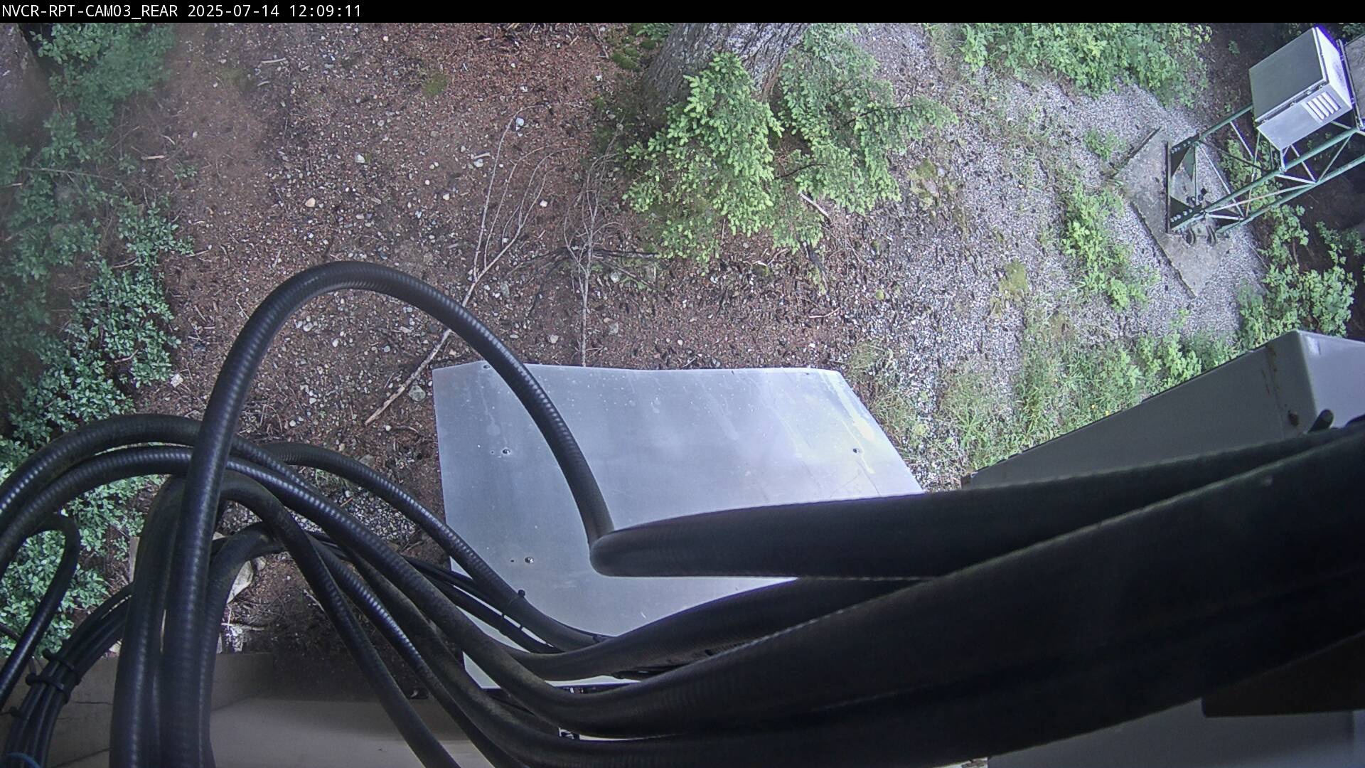 Web Cam History Image - 82