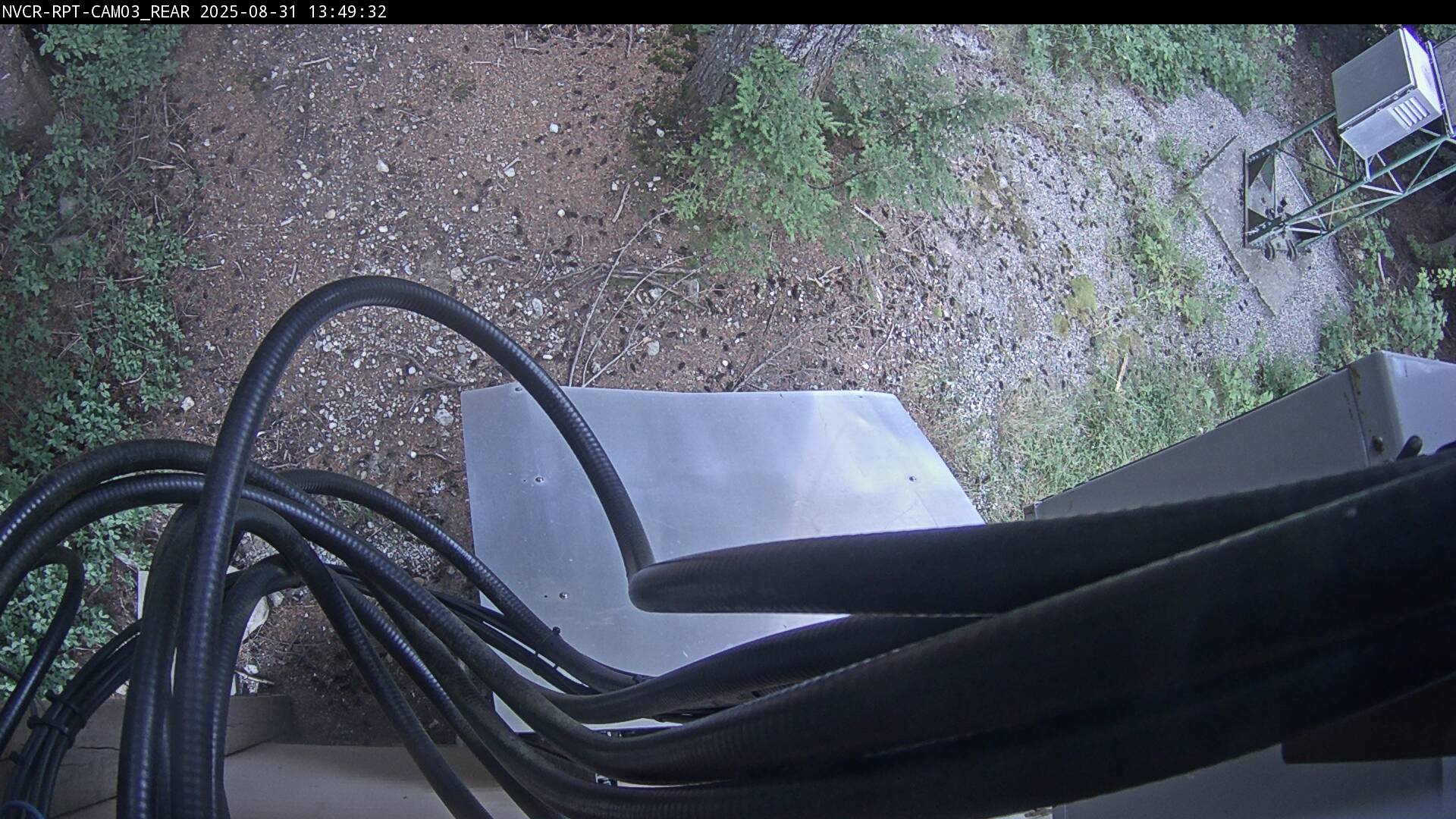 Web Cam History Image - 82