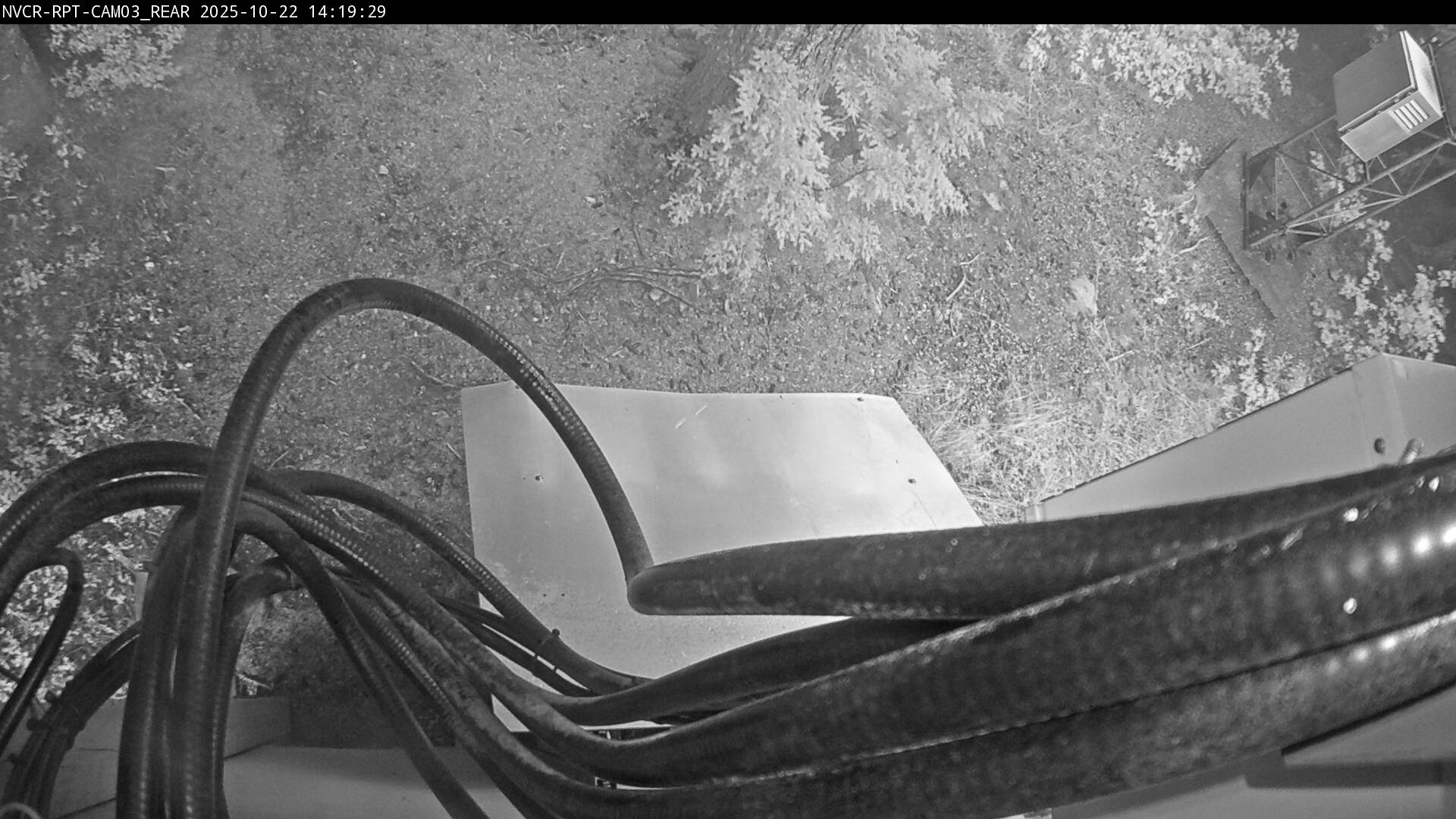 Web Cam History Image - 82