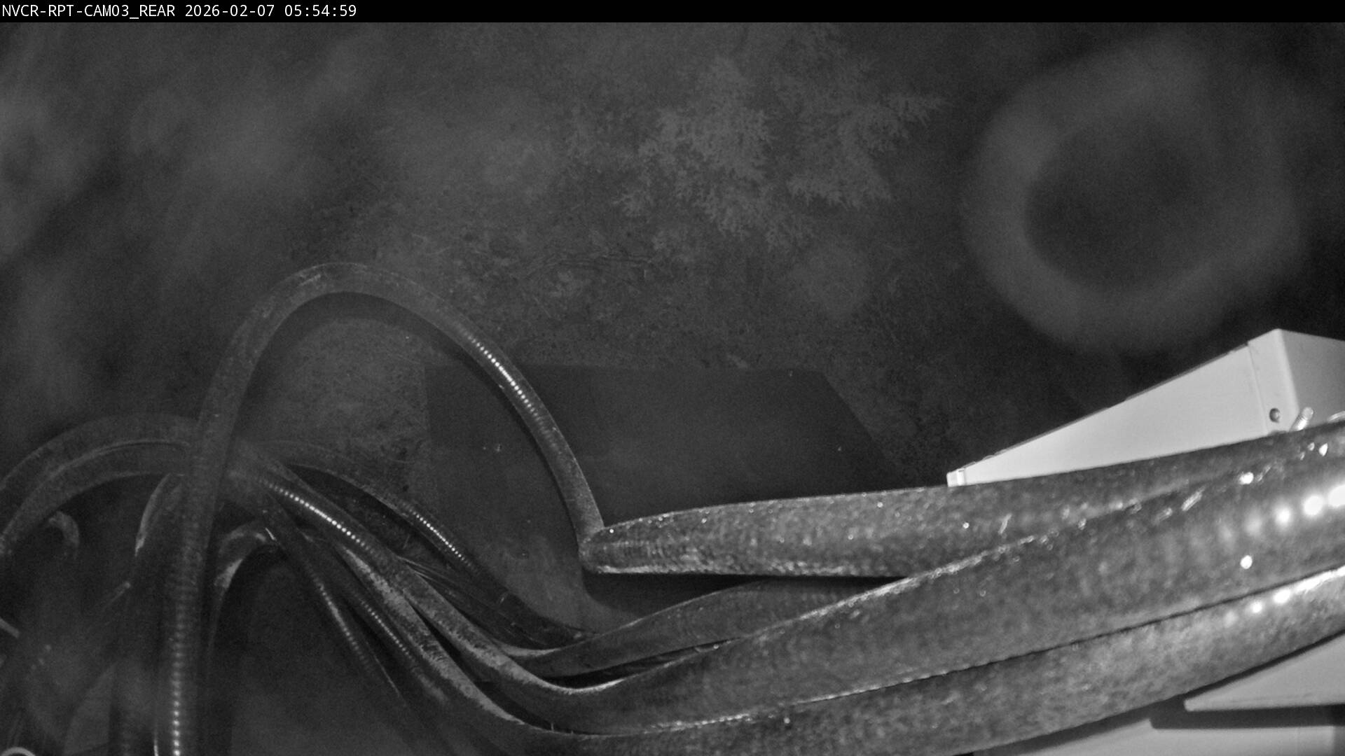 Web Cam History Image - 82