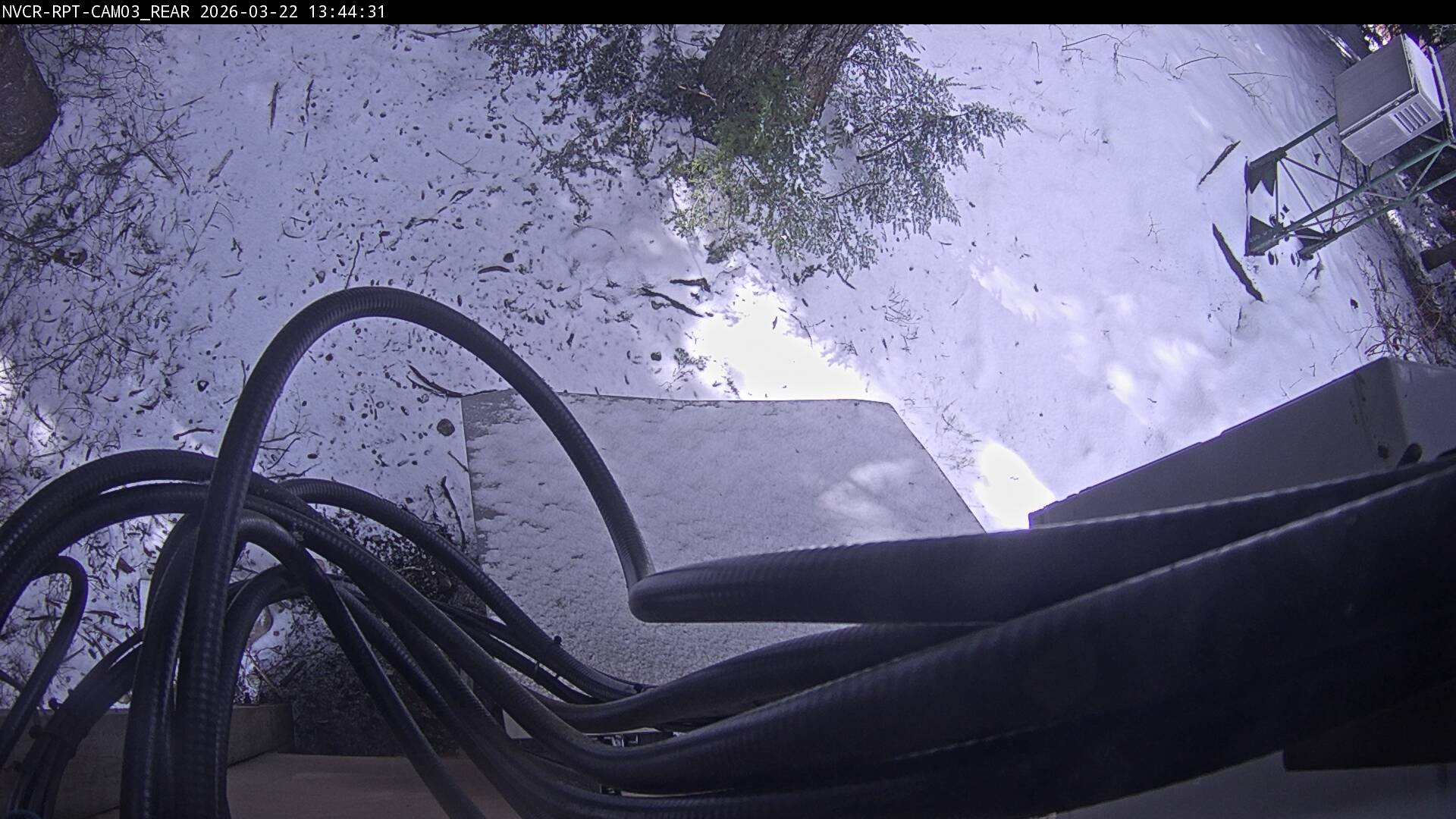 Web Cam History Image - 82