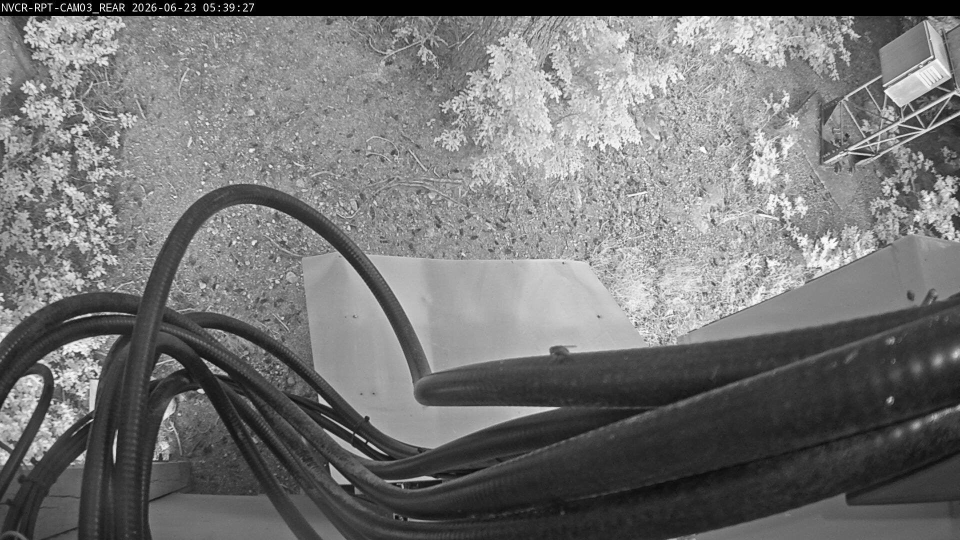 Web Cam History Image - 82