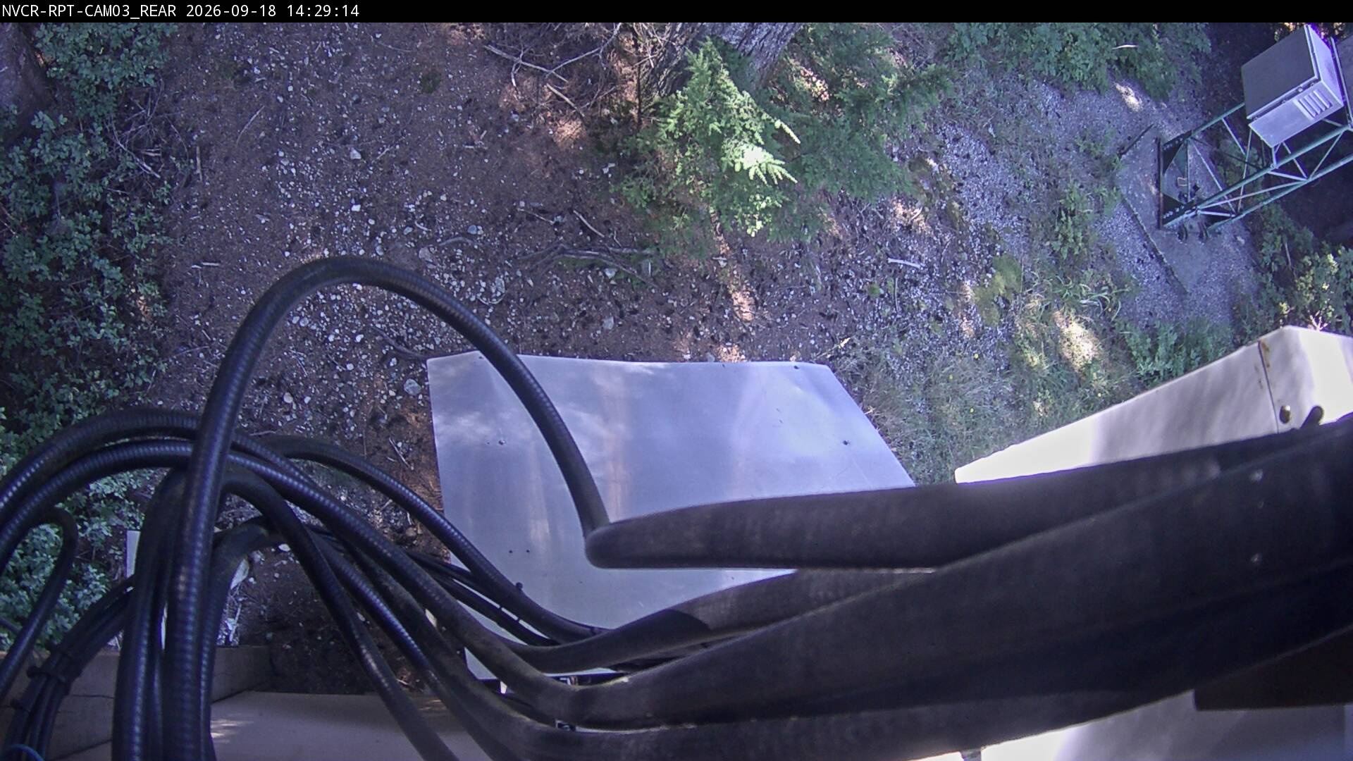 Web Cam History Image - 82