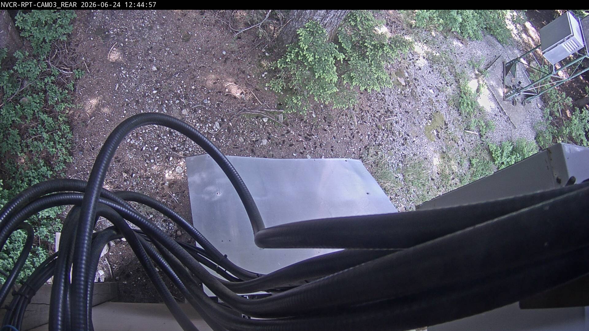 Web Cam History Image - 813