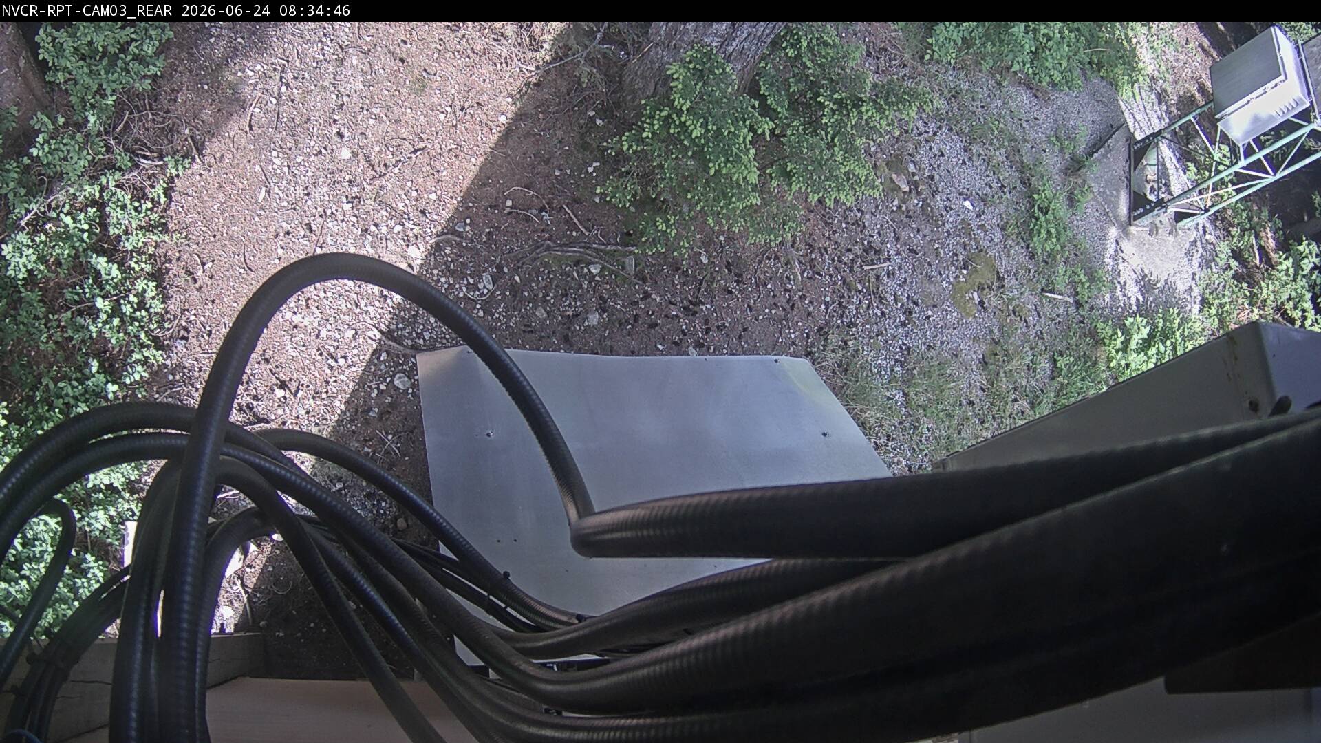 Web Cam History Image - 815