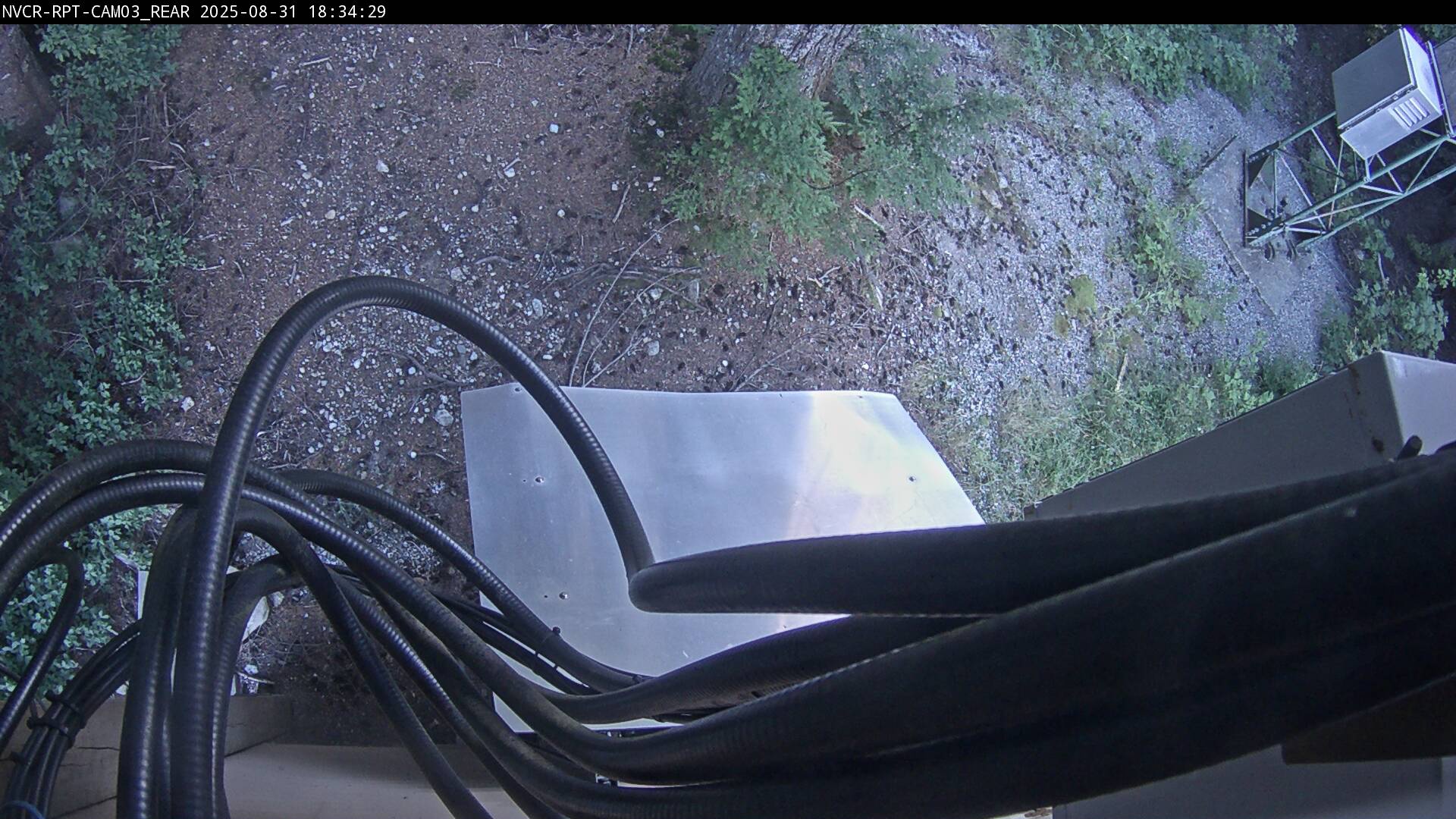 Web Cam History Image - 817