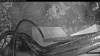 Web Cam Image - Fri, 05/15/2026 4:39am PDT