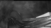 Web Cam Image - Sat, 09/26/2026 4:24am PDT