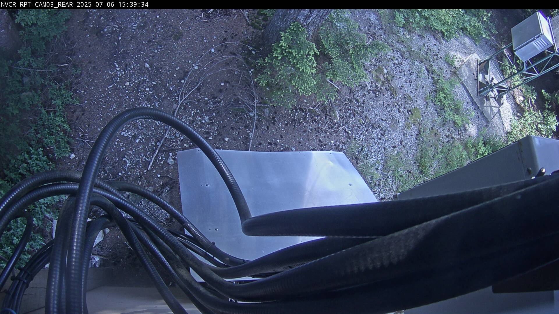 Web Cam History Image - 83