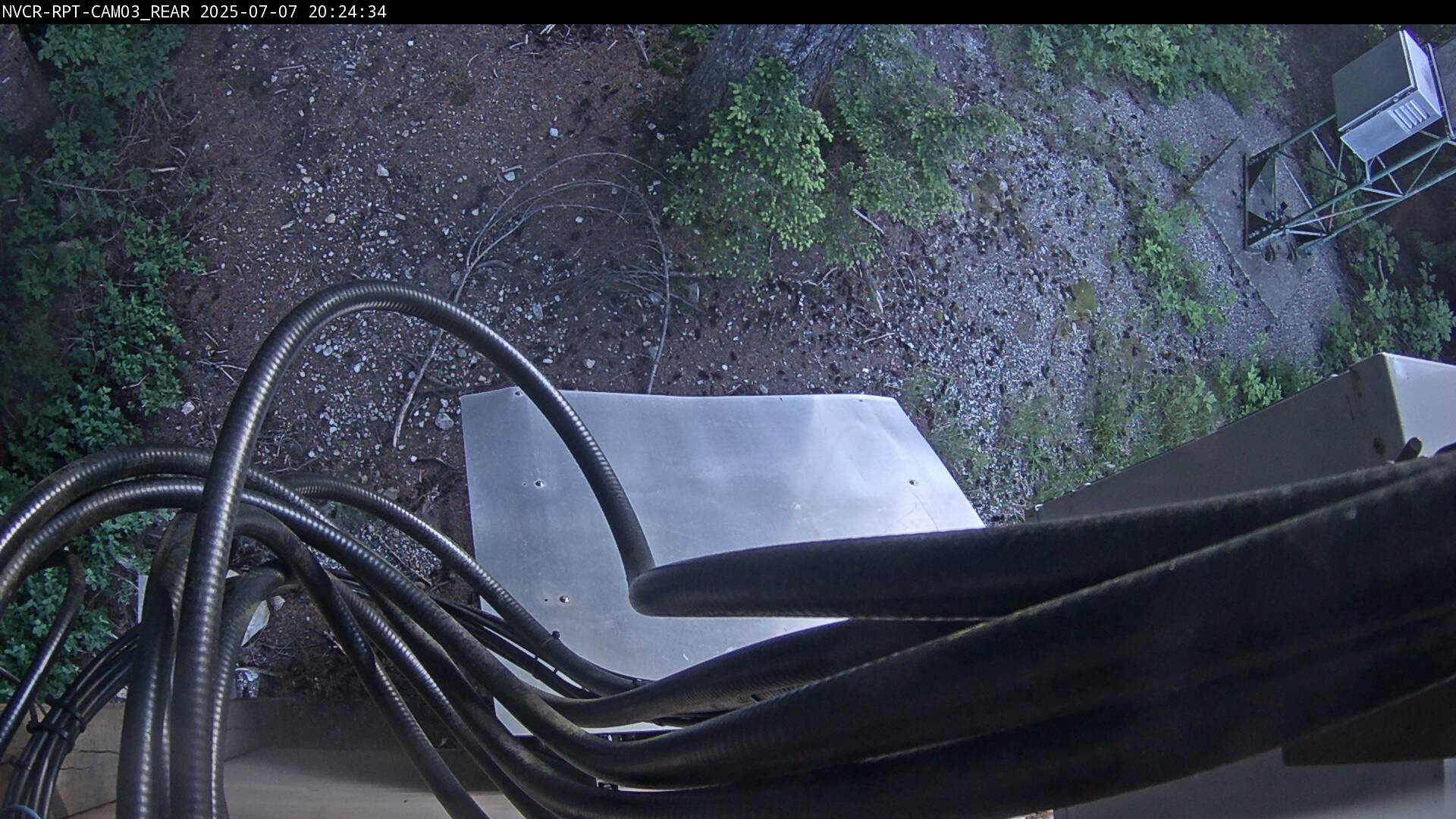 Web Cam History Image - 83