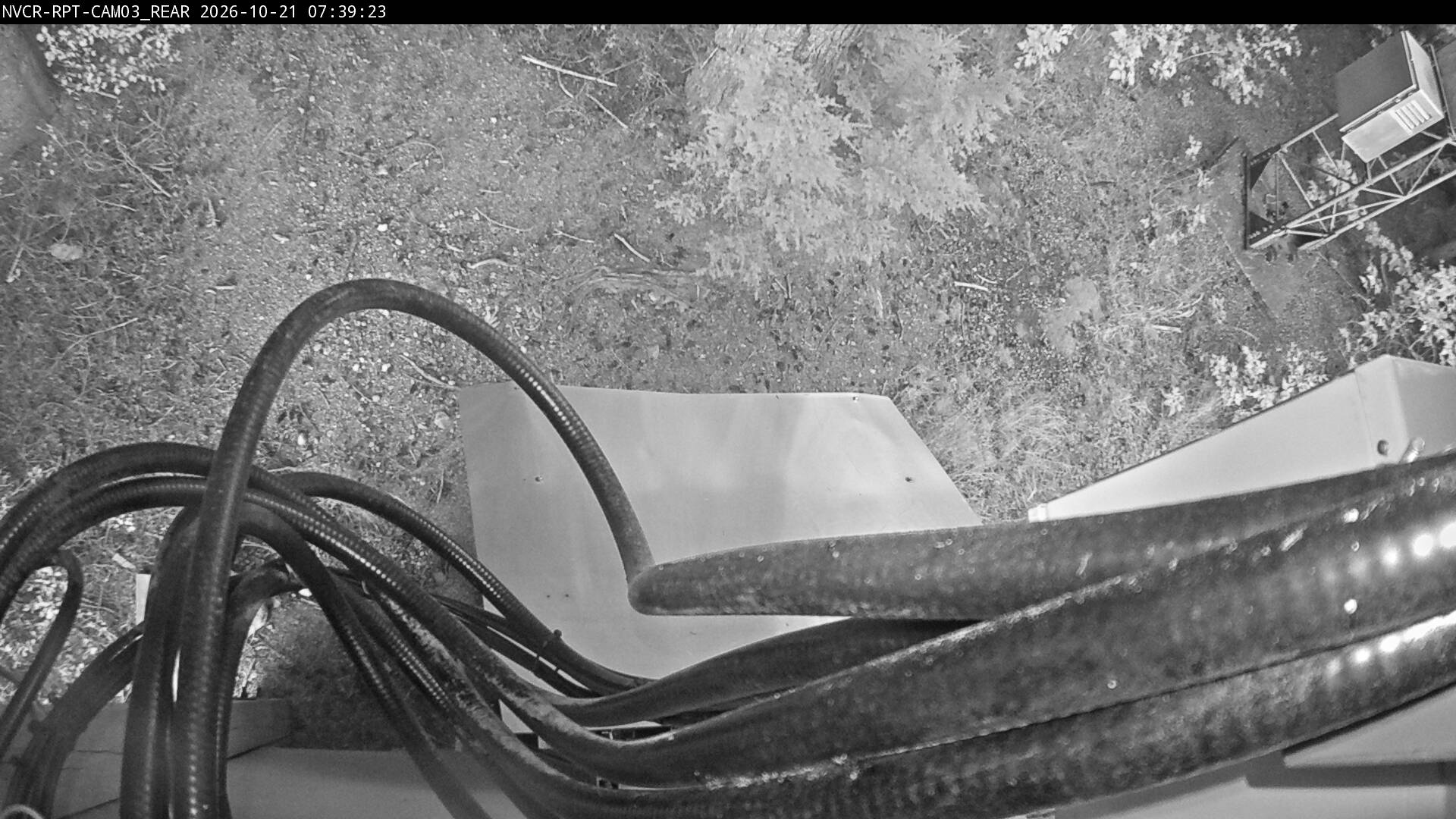 Web Cam History Image - 83